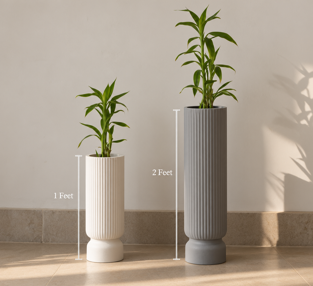Ribbed planter size guide